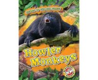 Howler Monkeys by Kenney, Karen Latchana